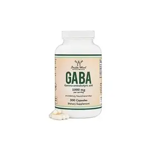 Double Wood Supplements GABA - 300 Capsules | 1000mg Per Serving