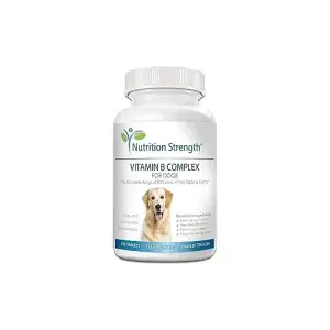 Nutrition Strength Vitamin B Complex for Dogs | 120 Chewable Tablets